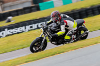 PJ-Motorsport-2019;anglesey-no-limits-trackday;anglesey-photographs;anglesey-trackday-photographs;enduro-digital-images;event-digital-images;eventdigitalimages;no-limits-trackdays;peter-wileman-photography;racing-digital-images;trac-mon;trackday-digital-images;trackday-photos;ty-croes